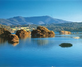 Wagonga Picnic Area Image